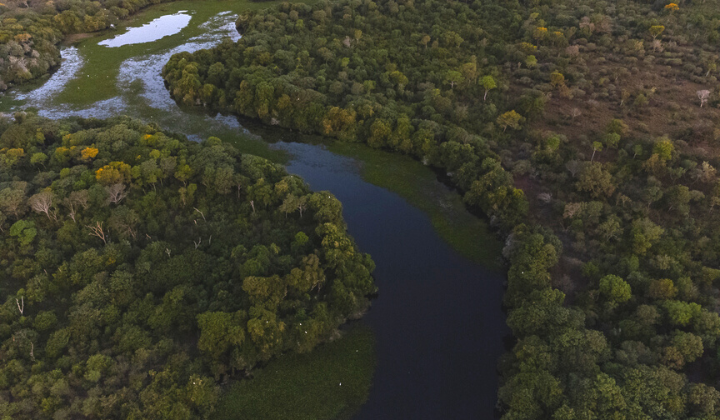 ILHA DO BANANAL+ Biofix Br BIC